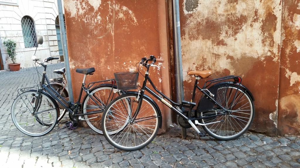 Il Salotto Di Via Giulia Appartamento Roma